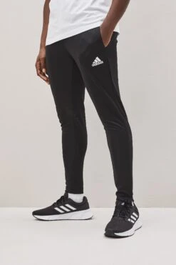 Adidas Entrada 22 Train Joggers