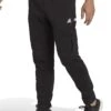 Adidas WTR Cargo Joggers